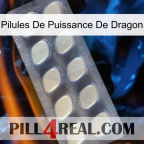 Dragon Power Pills 08